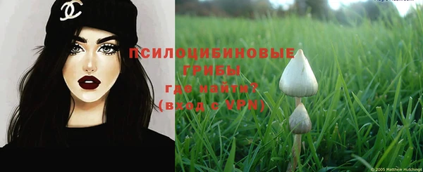 ешки Новозыбков
