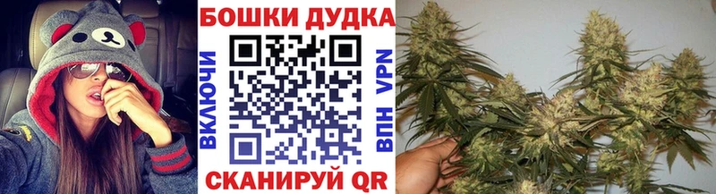 Бошки Шишки ГИДРОПОН  как найти   Чаплыгин 